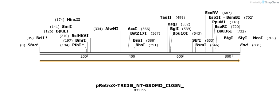 390352_map