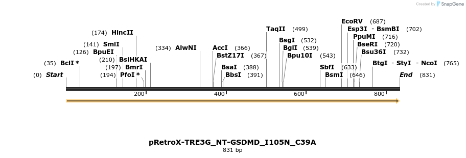390354_map