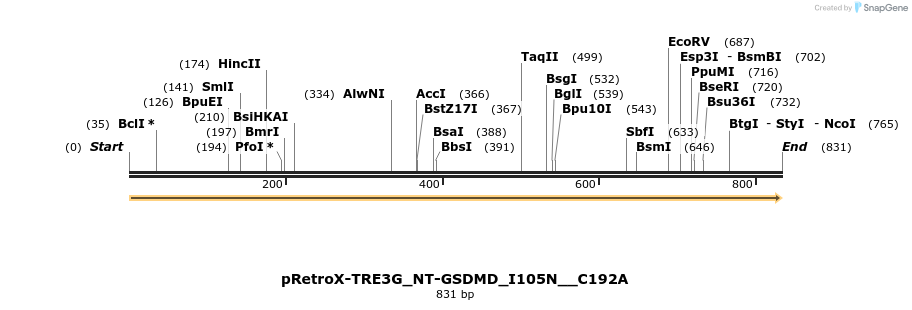 390356_map