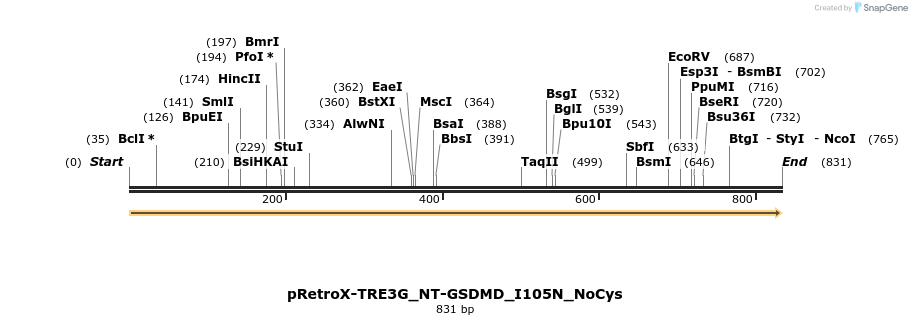 390358_map