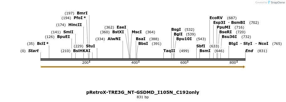 390360_map