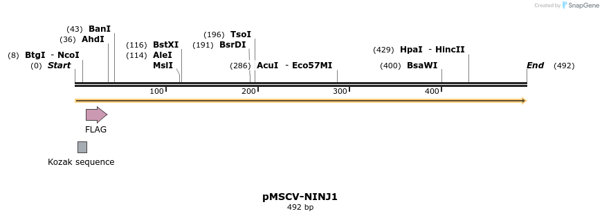 390361_map