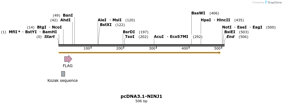 390362_map