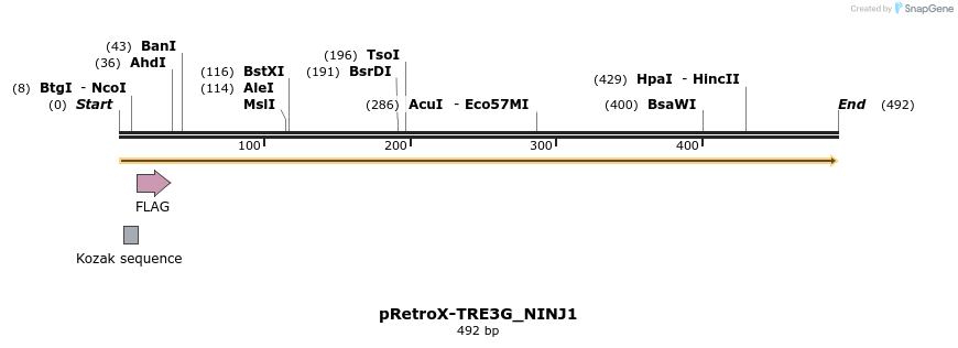 390363_map