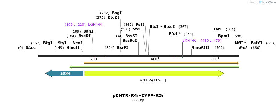 39037_map