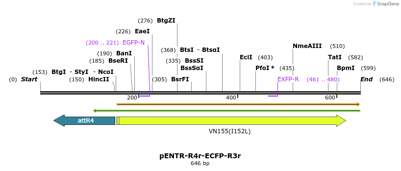 39038_map