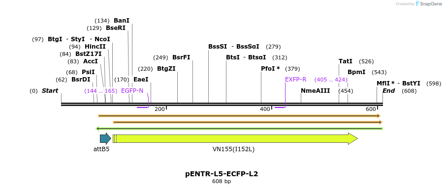 39040_map