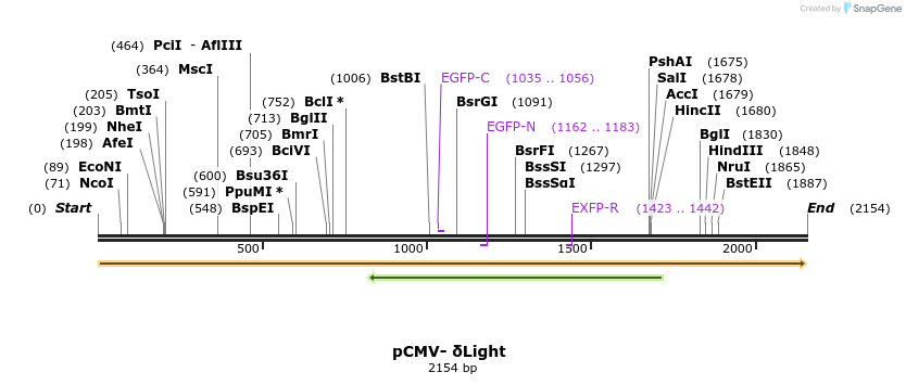 390411_map