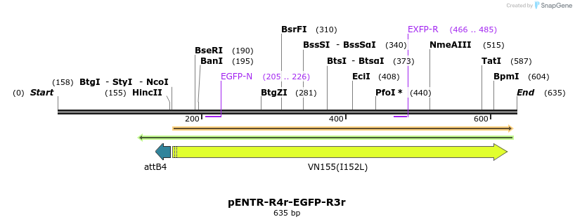 39044_map