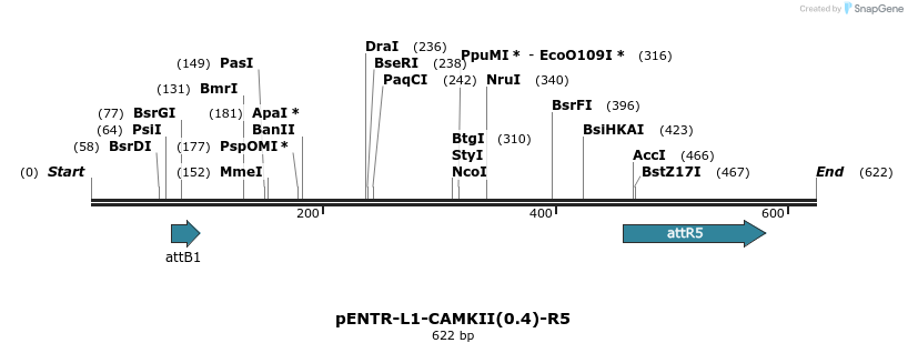 39046_map