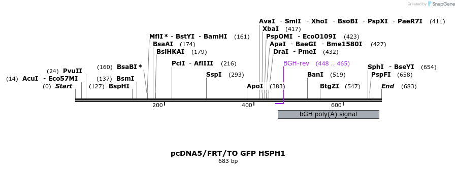 39047_map