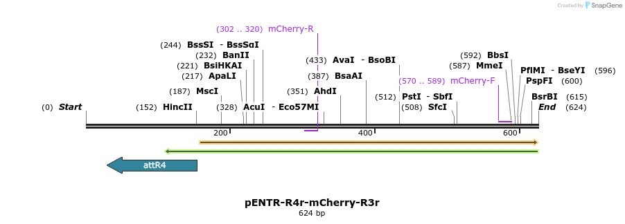 39048_map