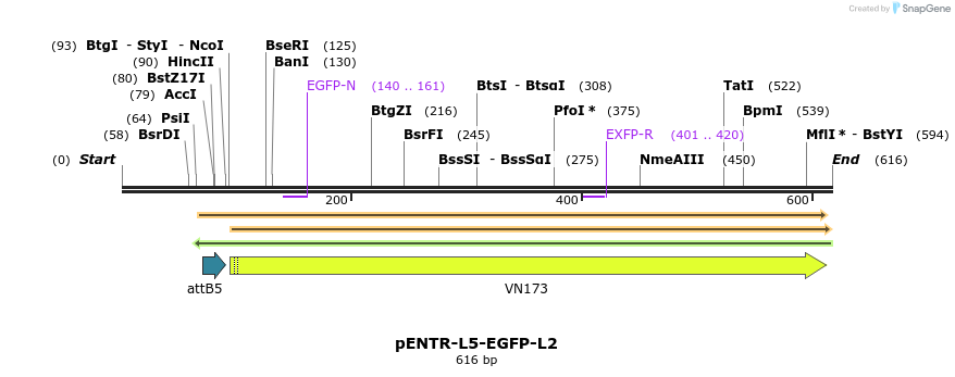 39049_map