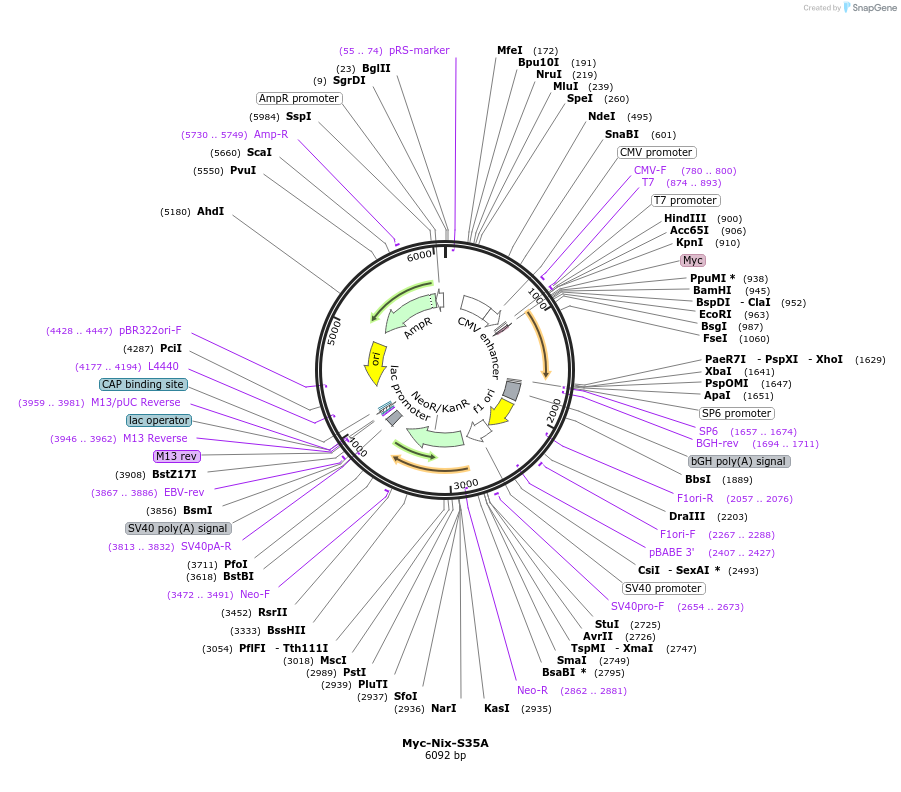 390527_map