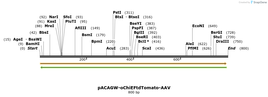39053_map