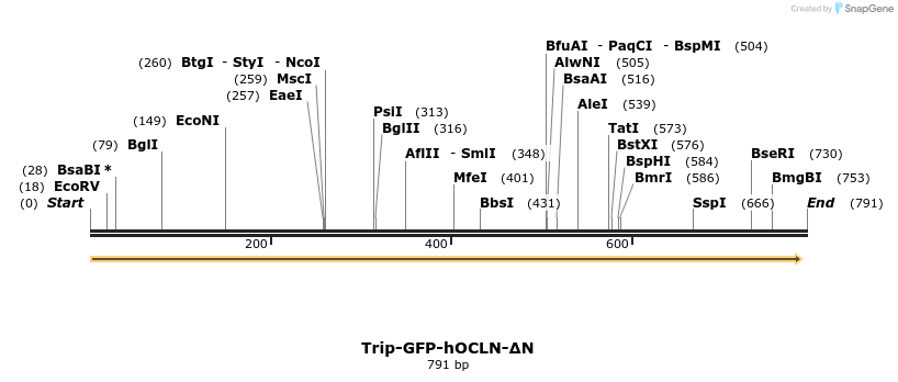 39056_map