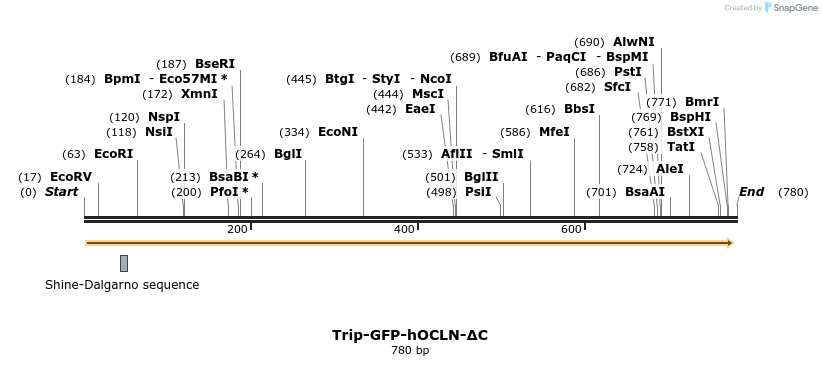 39058_map