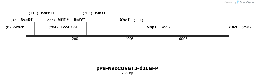 390596_map
