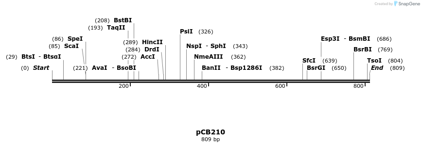 39060_map