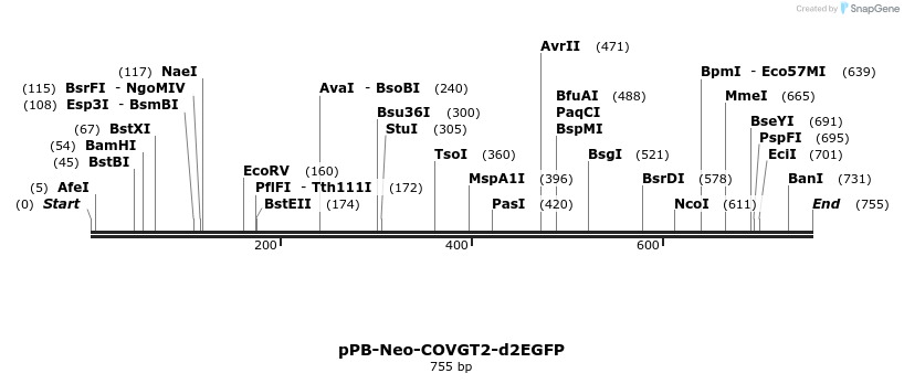 390600_map