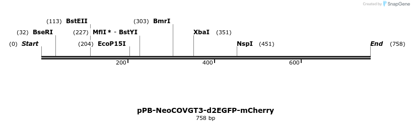 390604_map