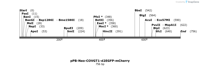 390606_map