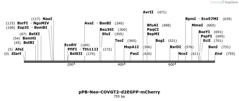 390608_map