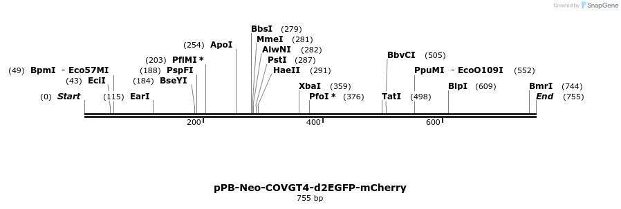 390610_map