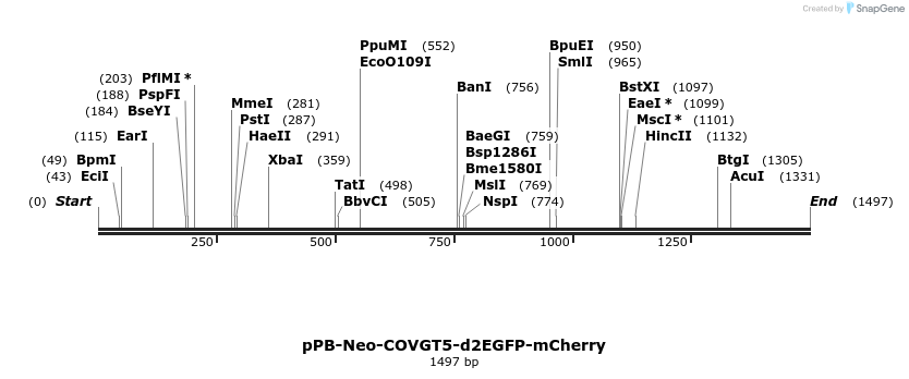 390612_map