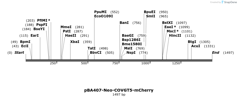 390614_map
