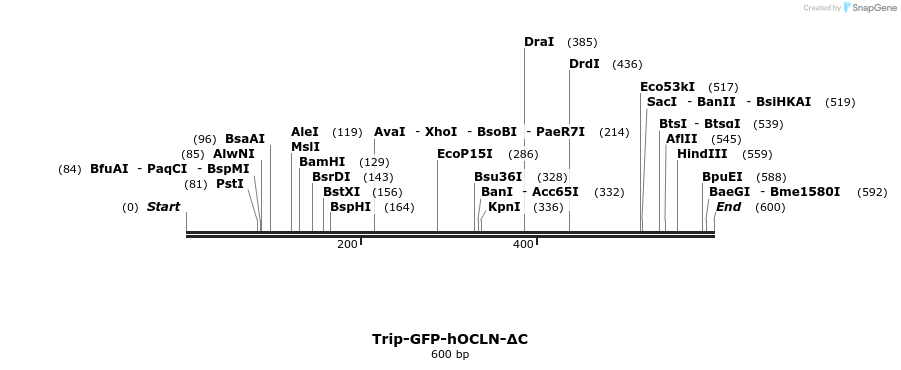39062_map