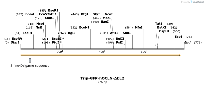 39065_map