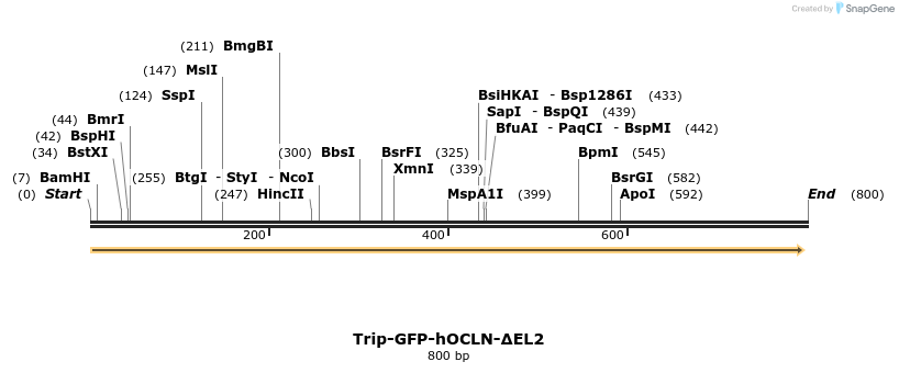 39066_map