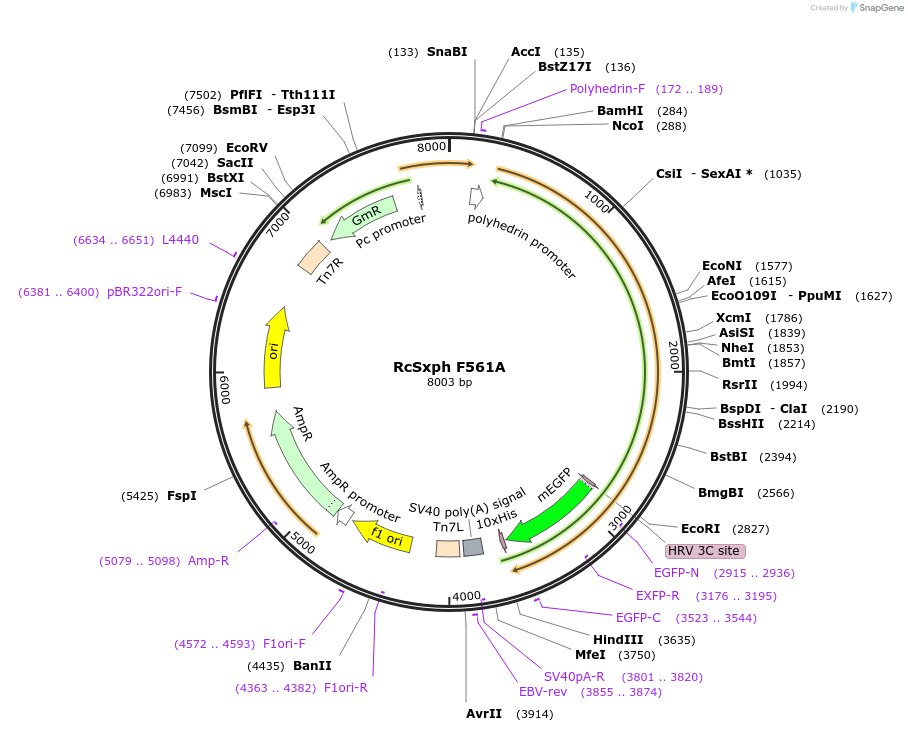 390713_map