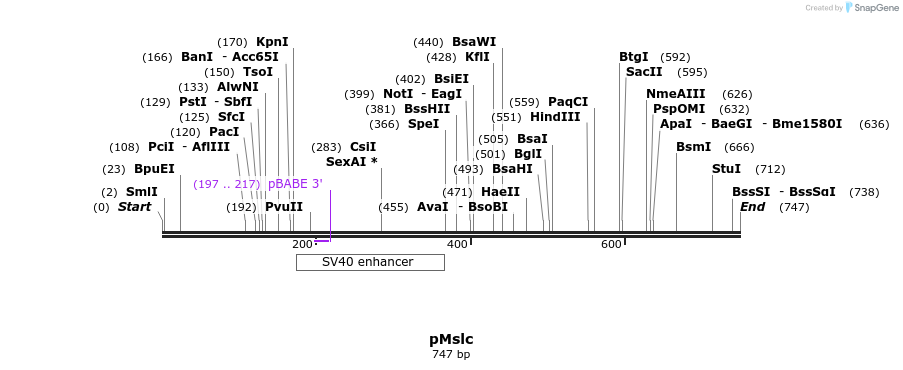 39077_map