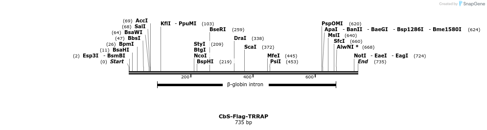 39078_map