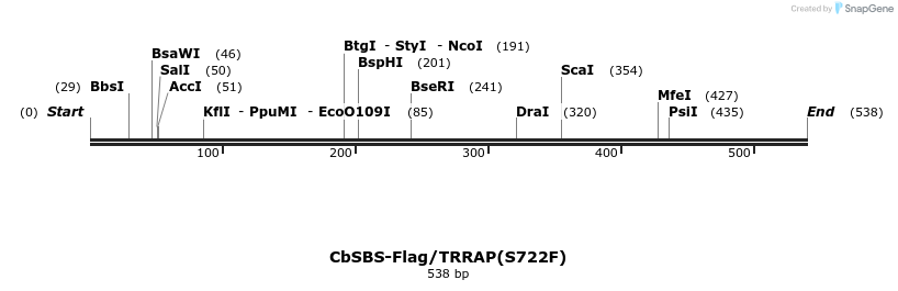 39079_map