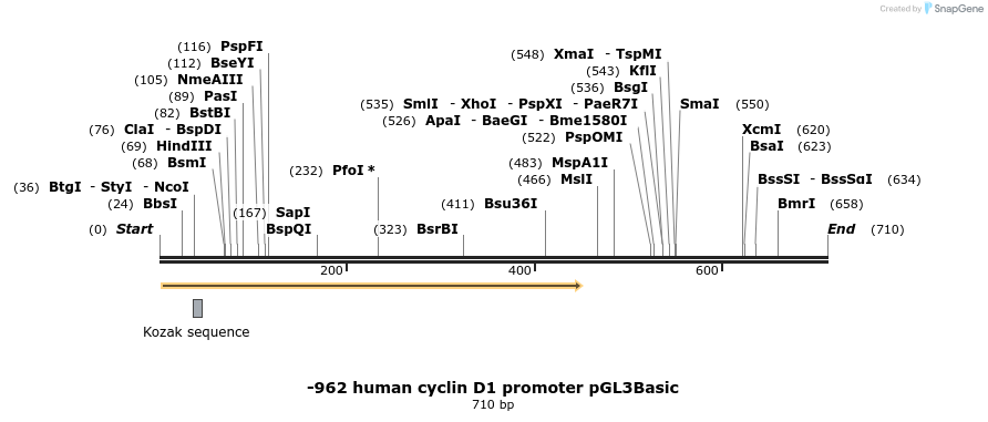 39080_map