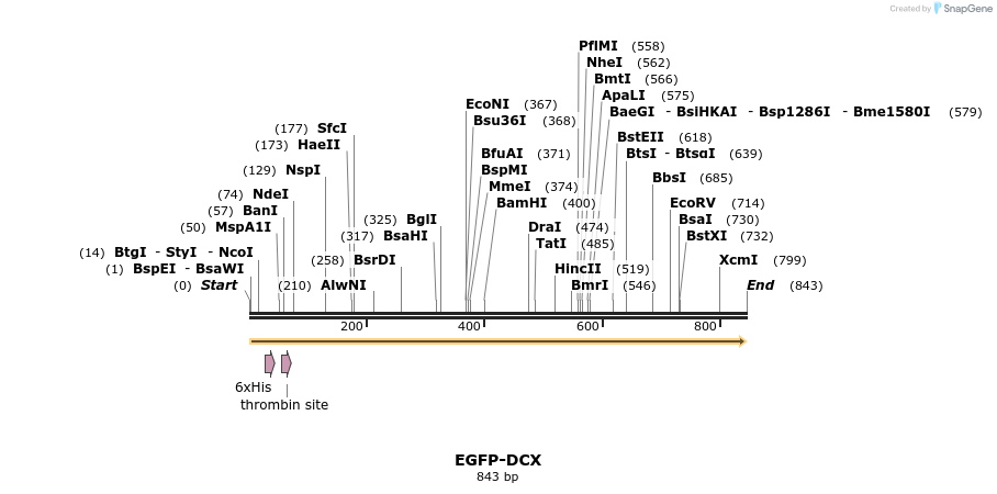 39081_map