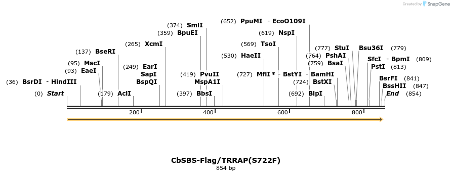 39082_map