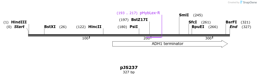 390844_map