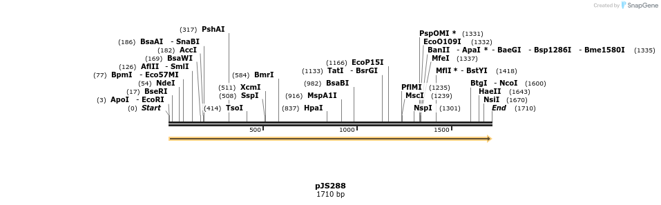 390846_map