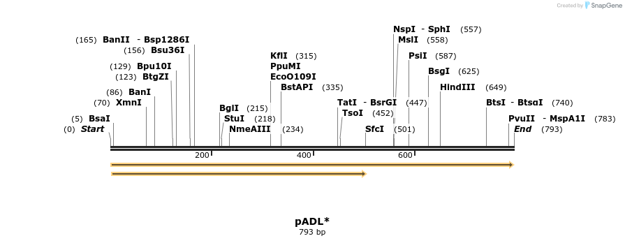 39085_map