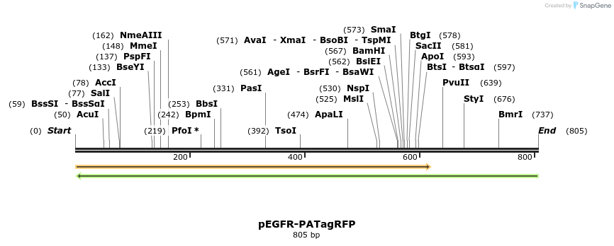 39091_map