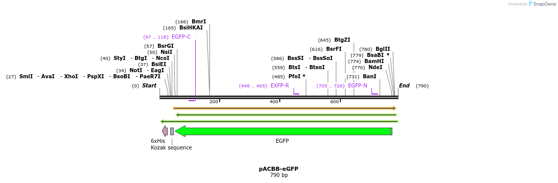 39095_map
