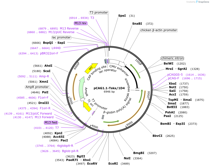 390950_map