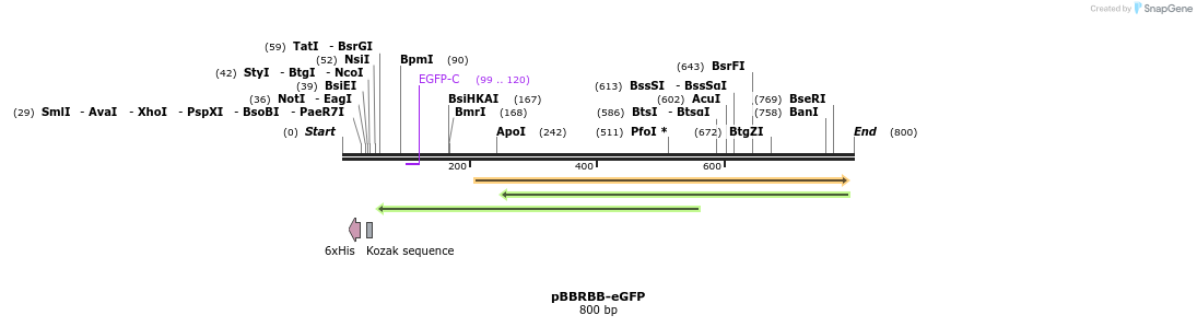 39096_map