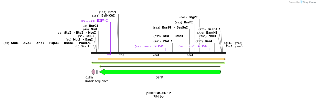 39098_map
