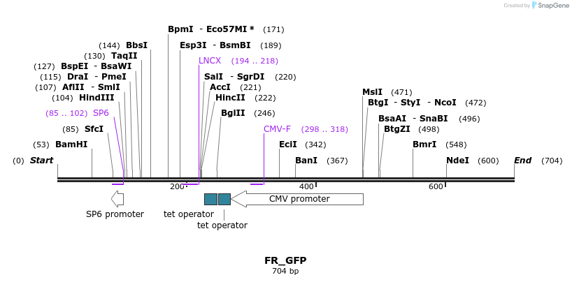 39101_map