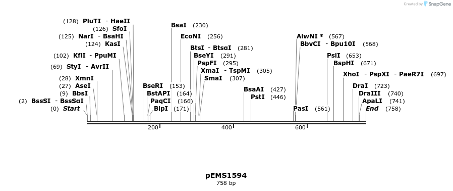 39102_map